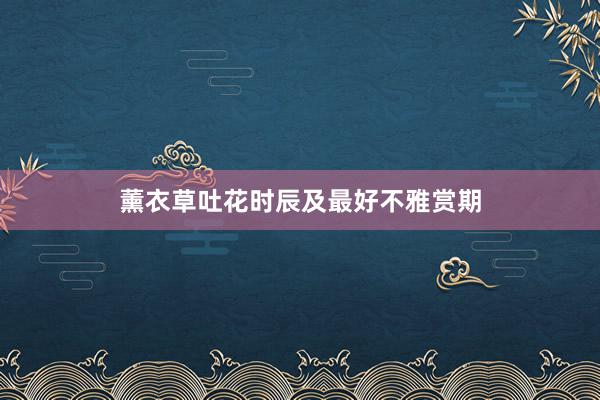 薰衣草吐花时辰及最好不雅赏期