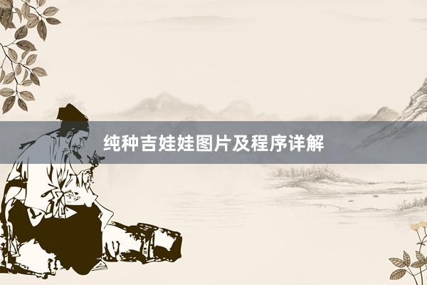 纯种吉娃娃图片及程序详解